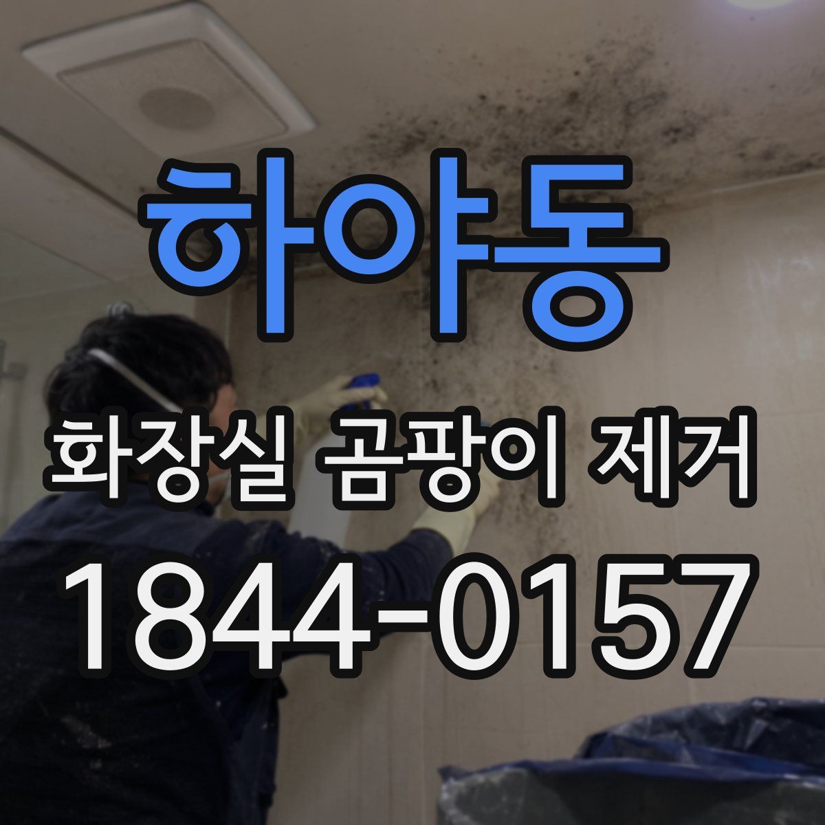 하야동 화장실 곰팡이 제거