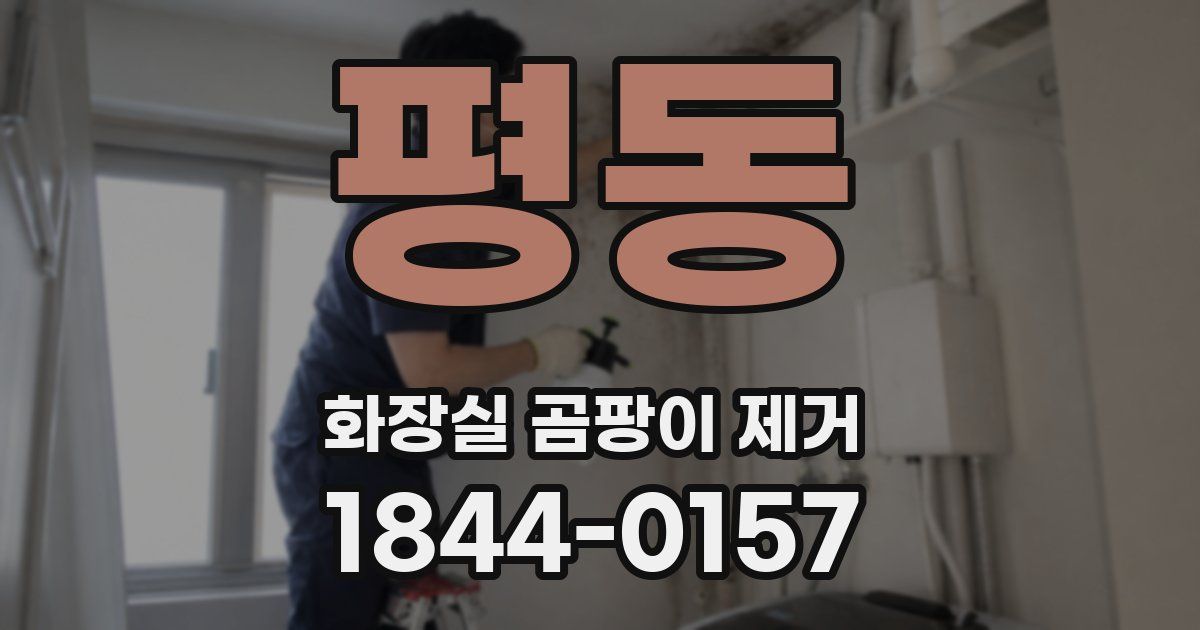 평동 화장실 곰팡이 제거