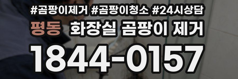 평동 화장실 곰팡이 제거