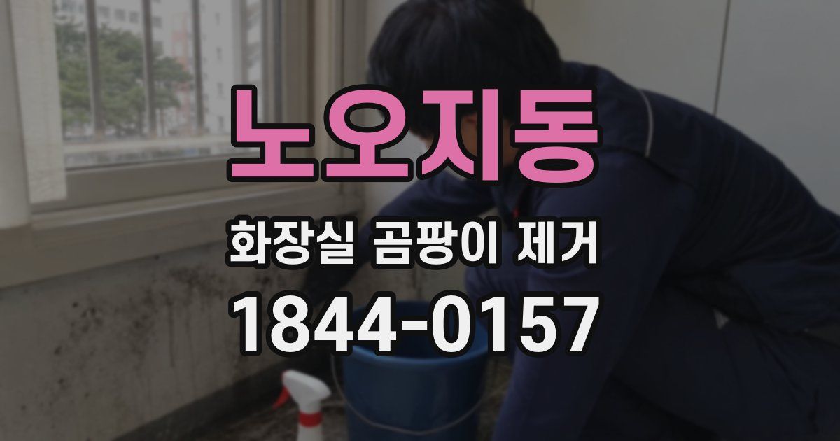 노오지동 화장실 곰팡이 제거