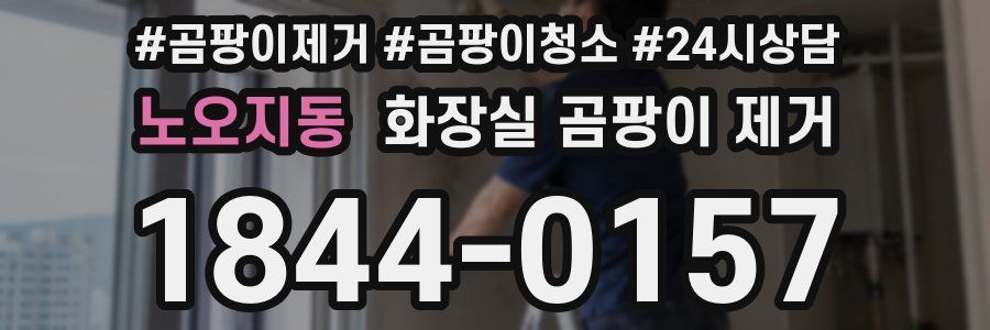 노오지동 화장실 곰팡이 제거