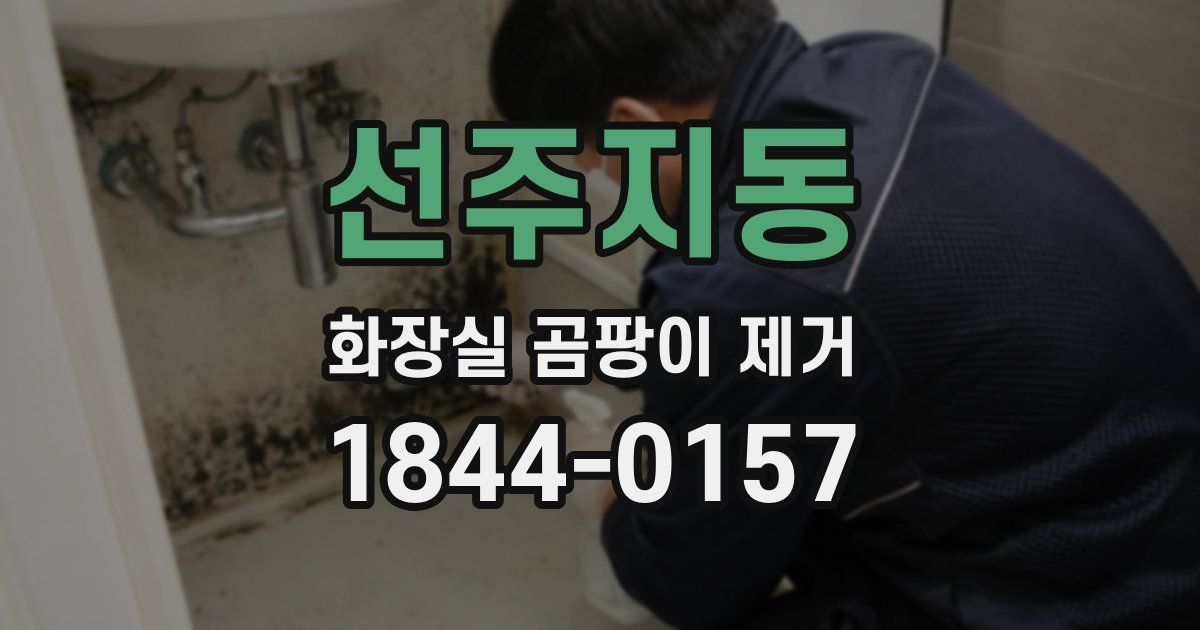 선주지동 화장실 곰팡이 제거
