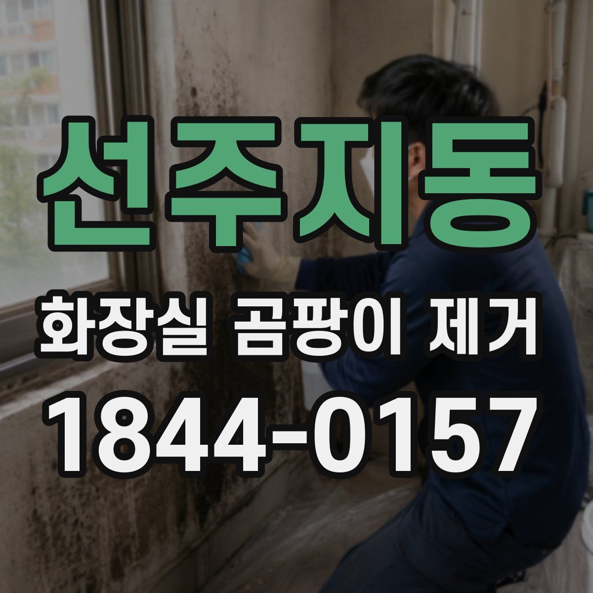 선주지동 화장실 곰팡이 제거