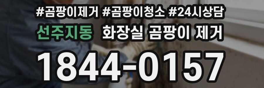 선주지동 화장실 곰팡이 제거