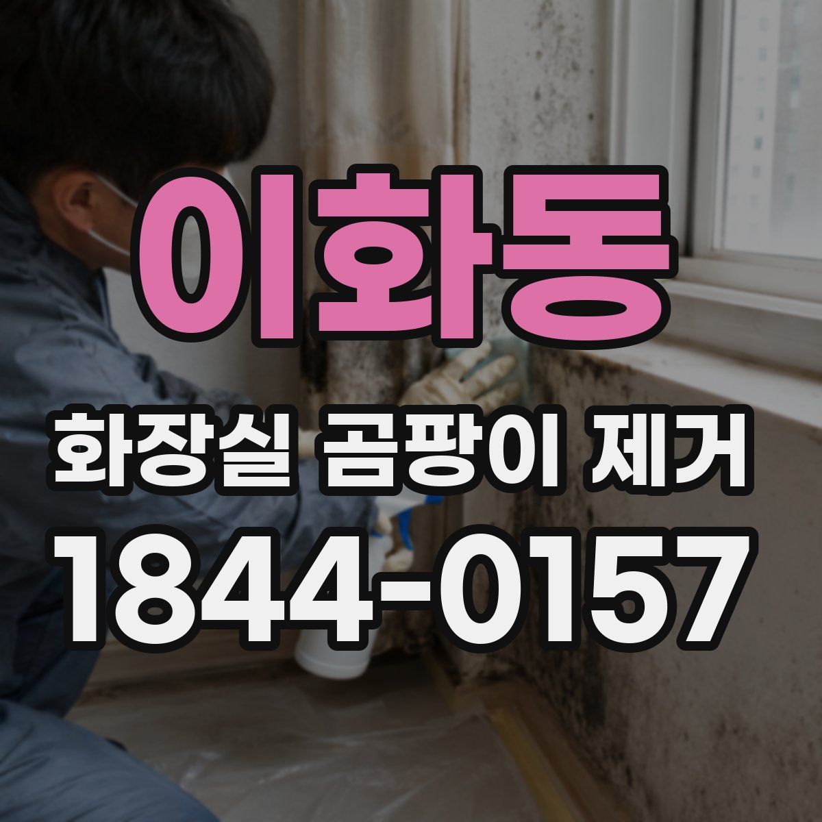 이화동 화장실 곰팡이 제거