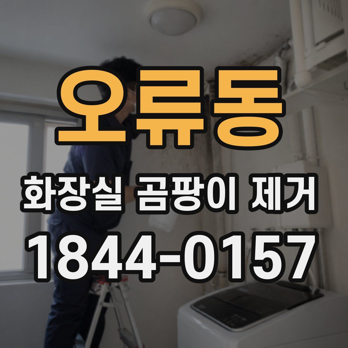 오류동 화장실 곰팡이 제거