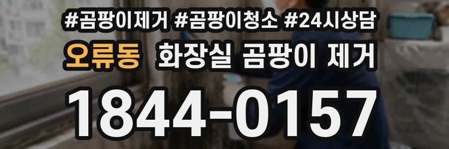 오류동 화장실 곰팡이 제거