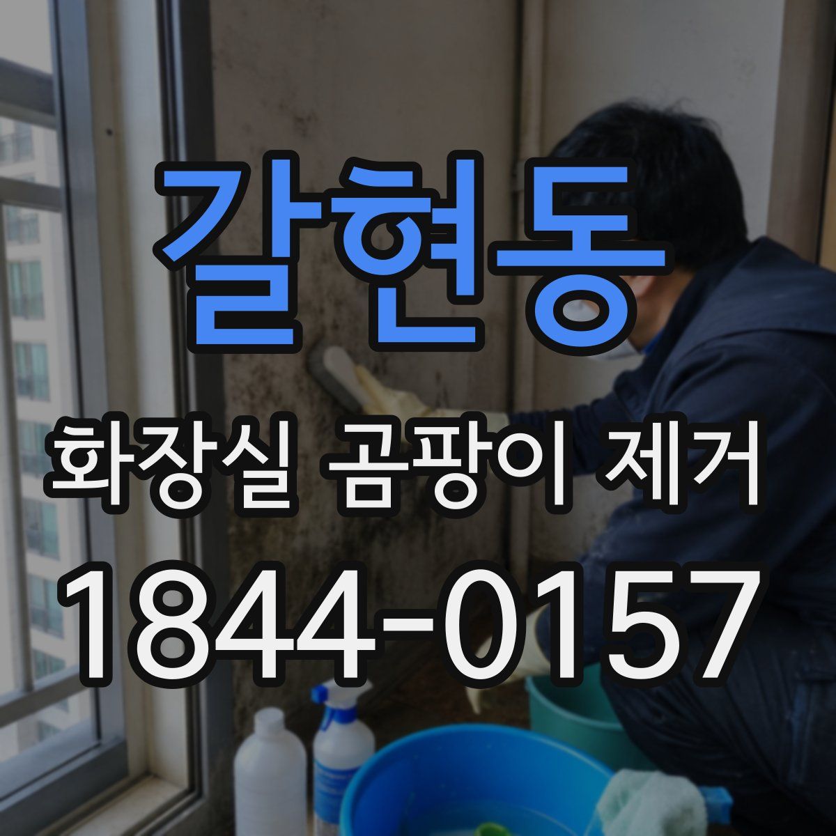 갈현동 화장실 곰팡이 제거