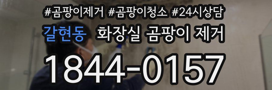 갈현동 화장실 곰팡이 제거