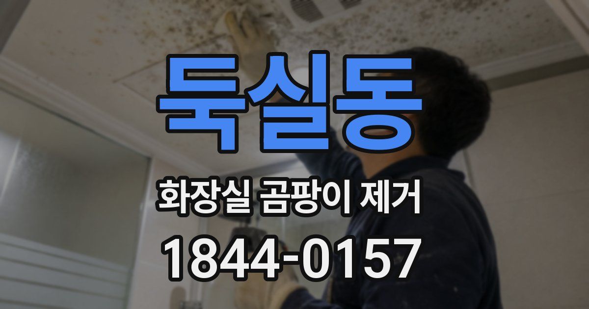 둑실동 화장실 곰팡이 제거