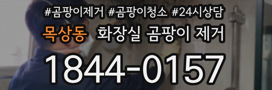 목상동 화장실 곰팡이 제거