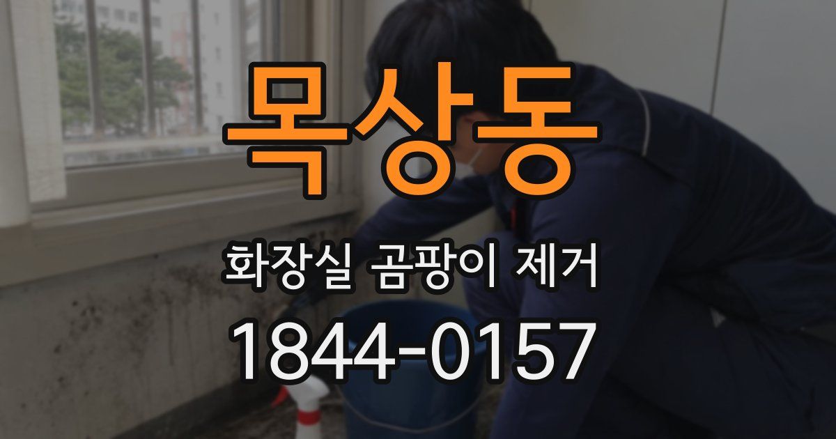 목상동 화장실 곰팡이 제거