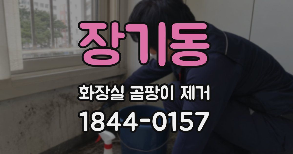 장기동 화장실 곰팡이 제거