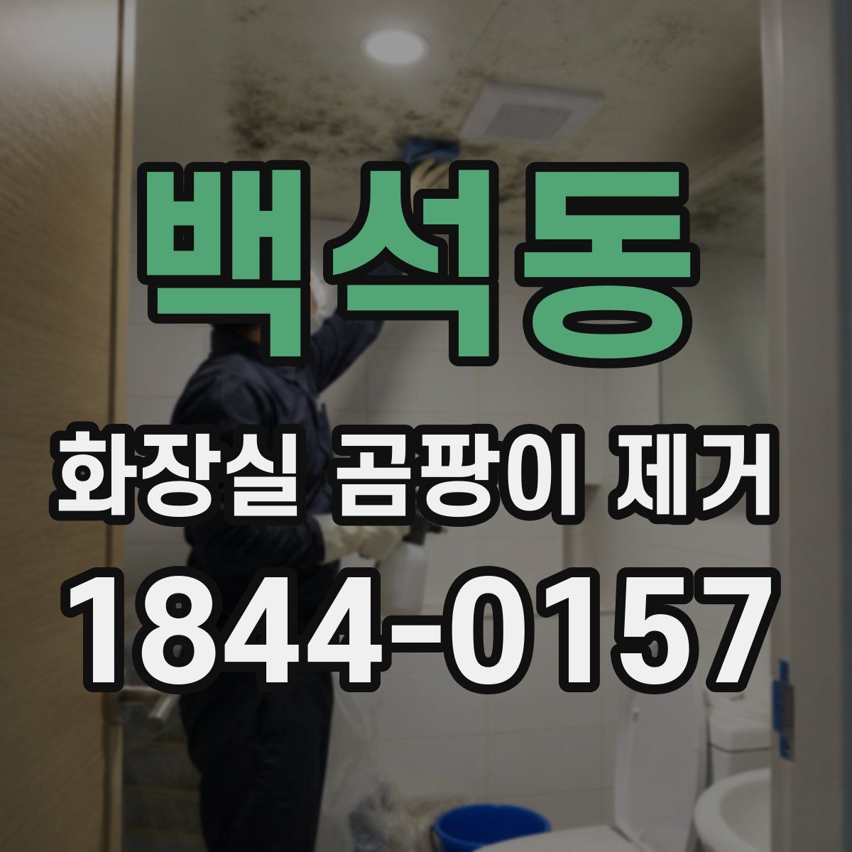 백석동 화장실 곰팡이 제거