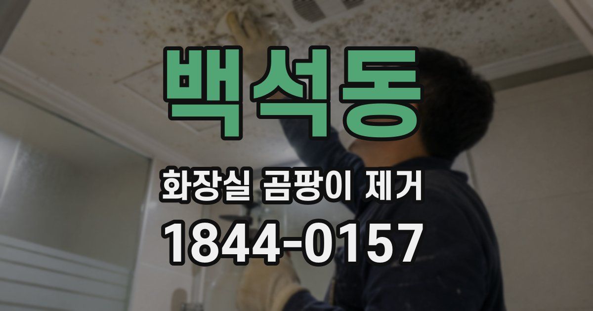 백석동 화장실 곰팡이 제거
