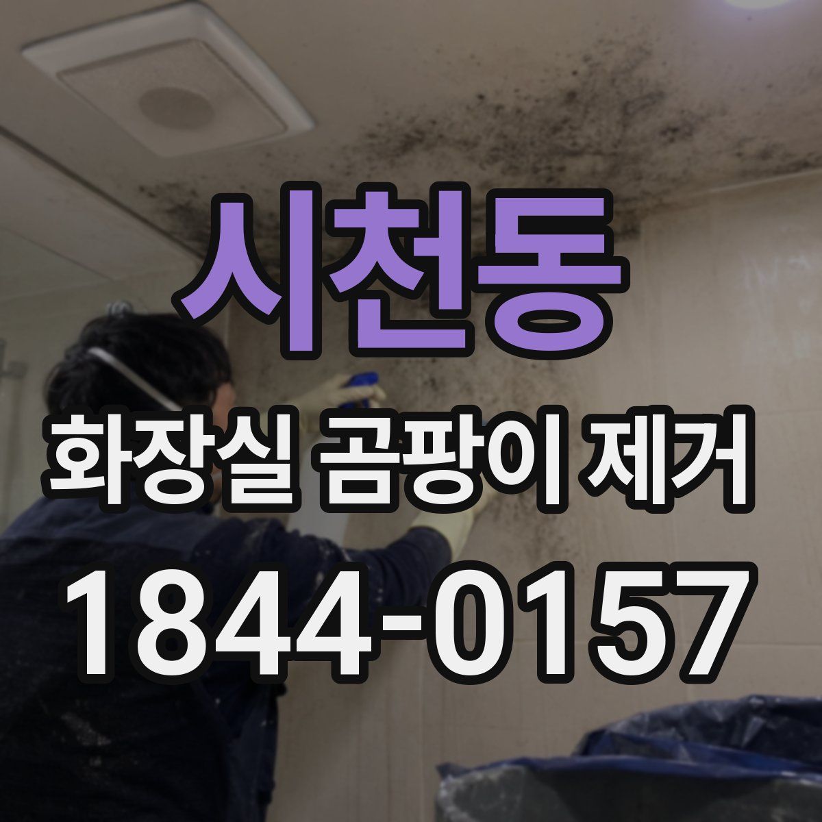 시천동 화장실 곰팡이 제거