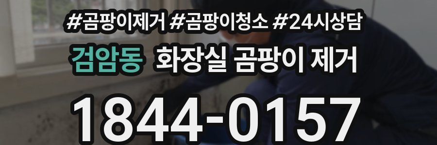검암동 화장실 곰팡이 제거