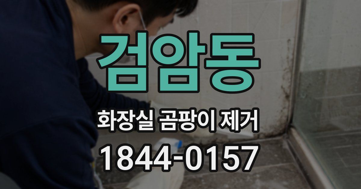 검암동 화장실 곰팡이 제거