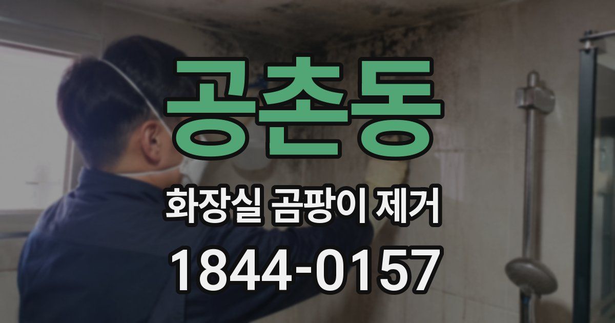공촌동 화장실 곰팡이 제거