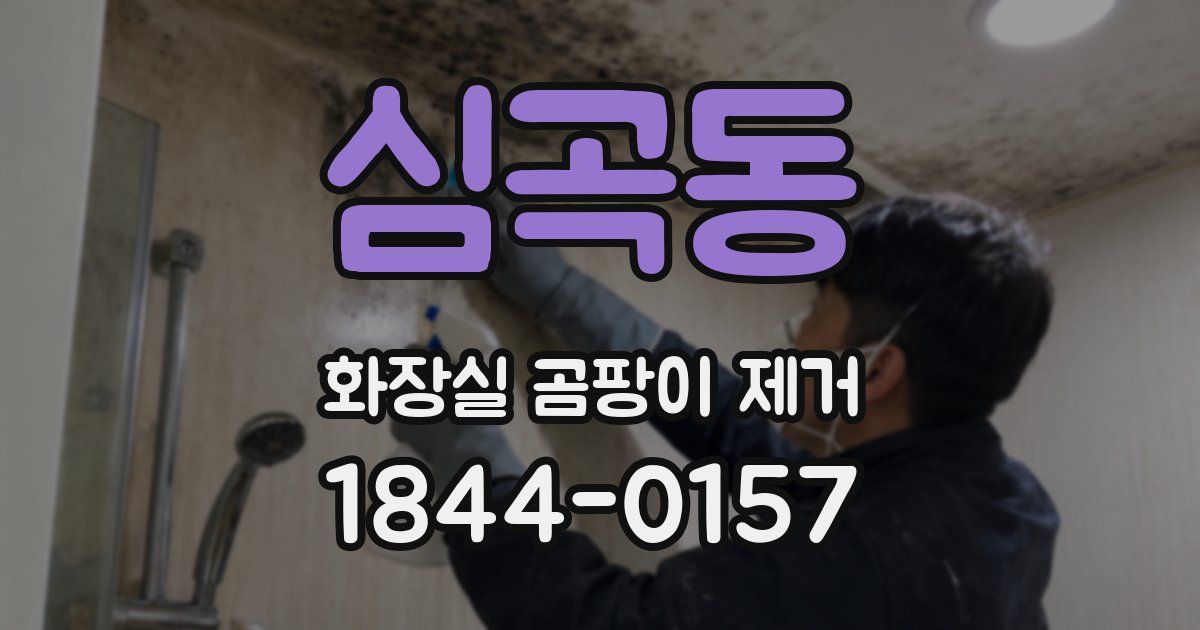 심곡동 화장실 곰팡이 제거