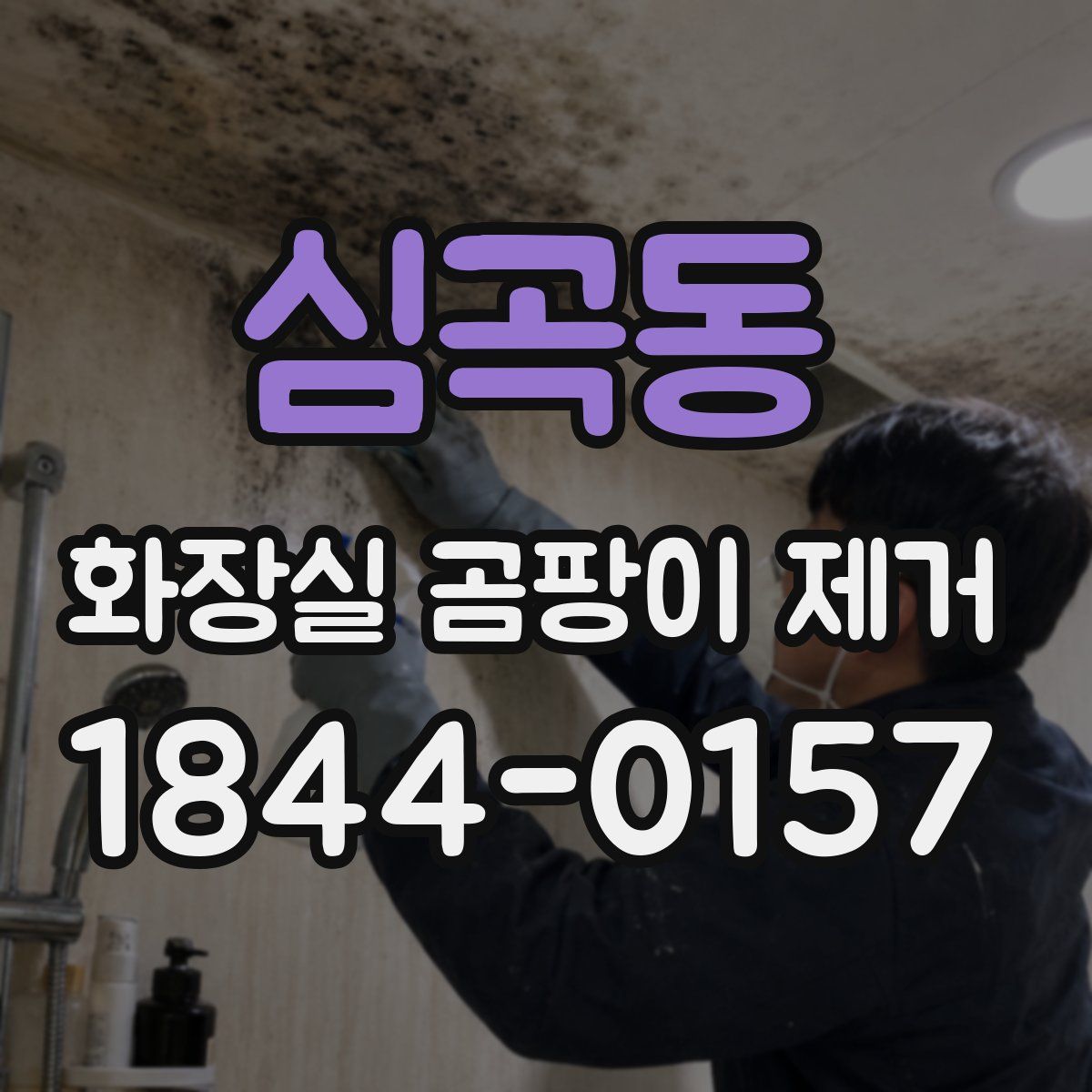 심곡동 화장실 곰팡이 제거