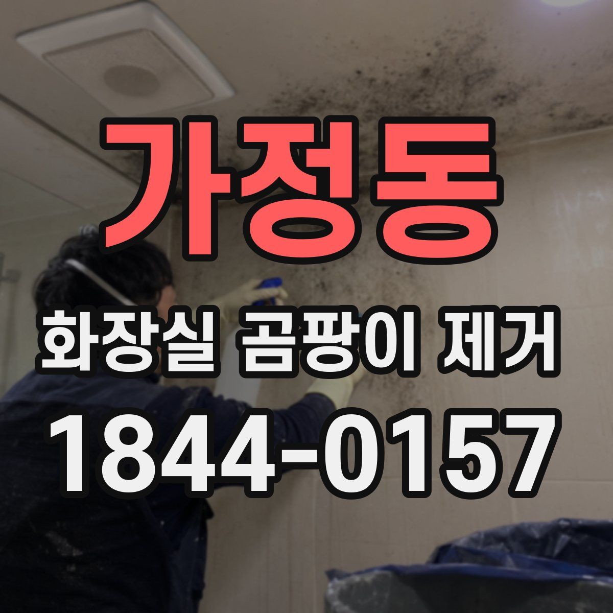 가정동 화장실 곰팡이 제거