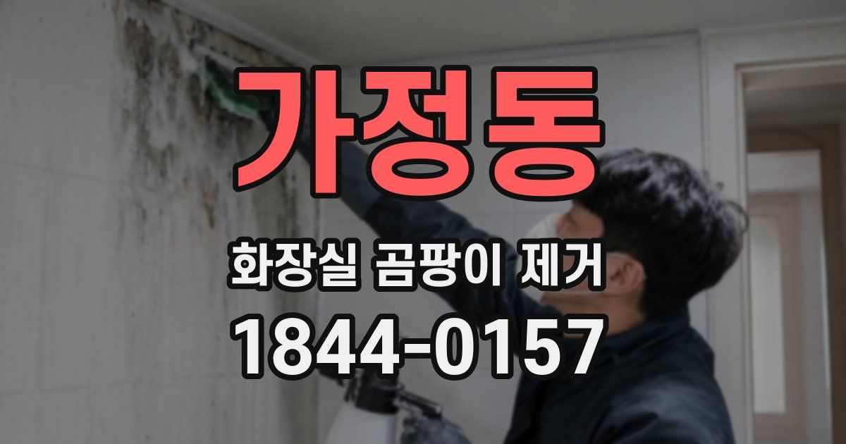 가정동 화장실 곰팡이 제거