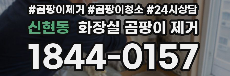 신현동 화장실 곰팡이 제거