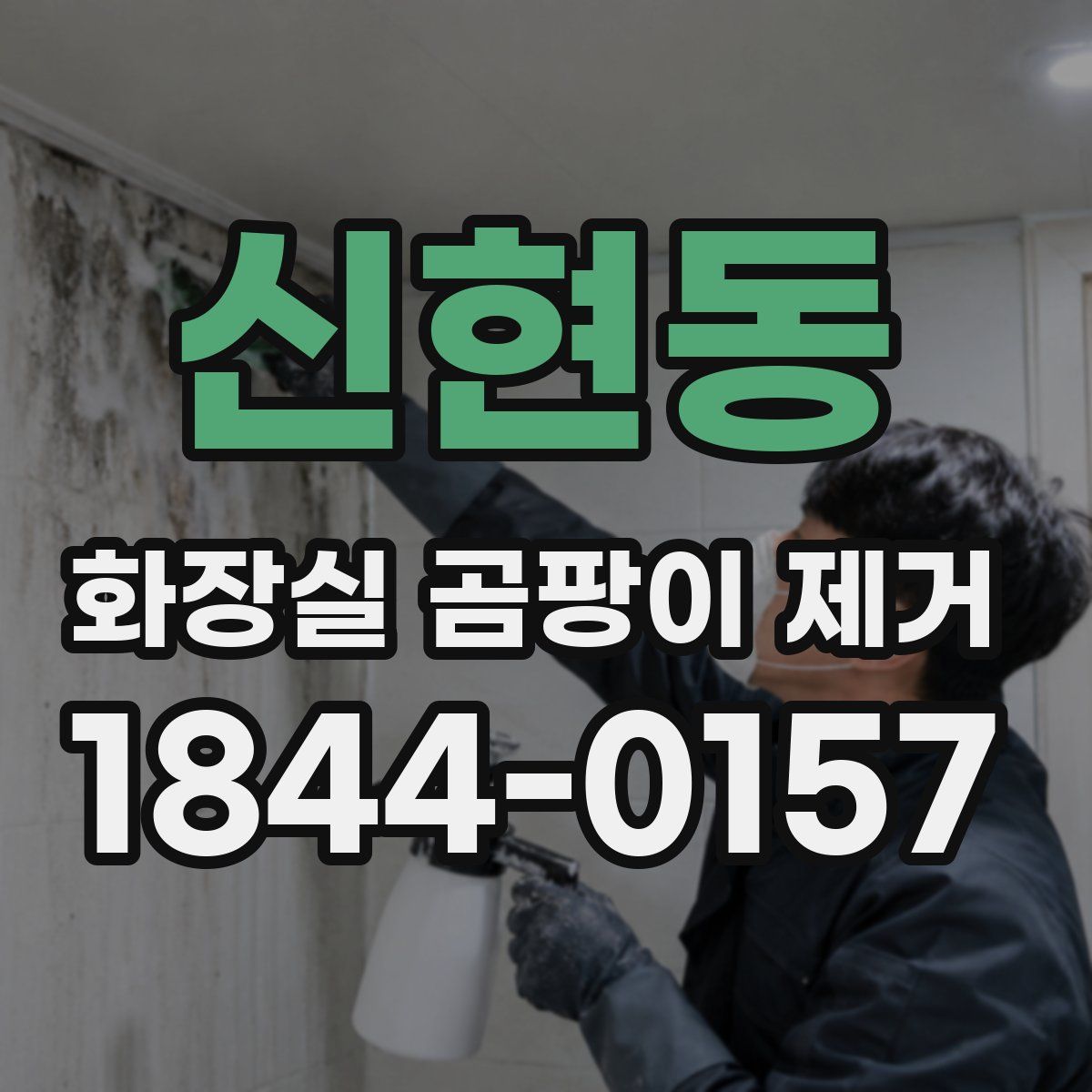 신현동 화장실 곰팡이 제거