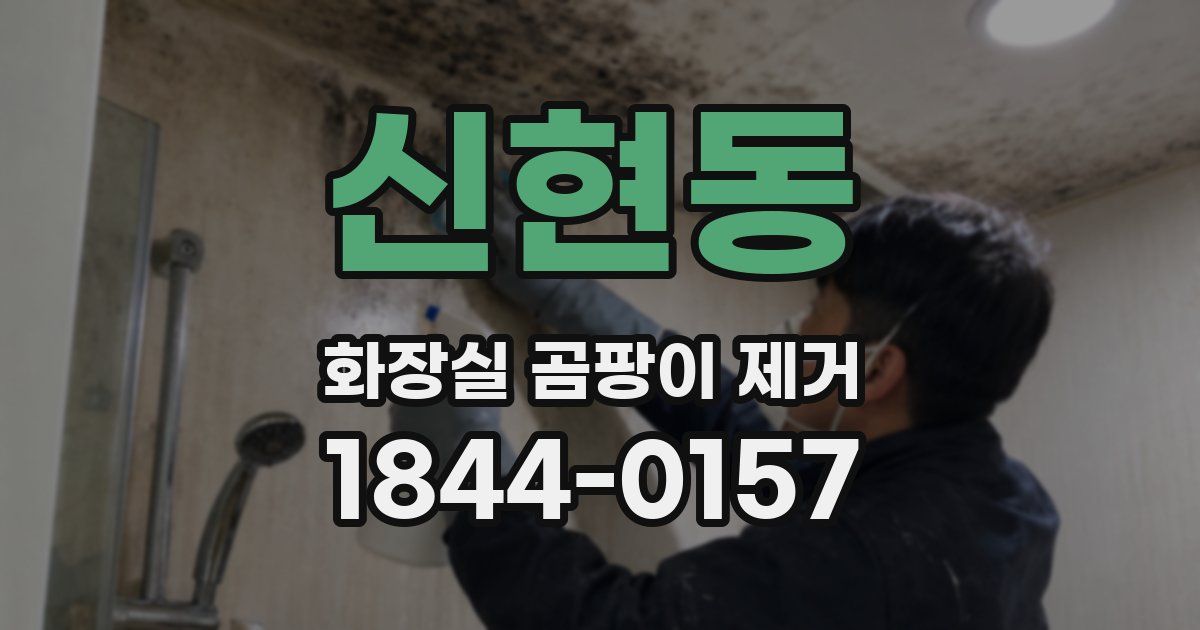 신현동 화장실 곰팡이 제거