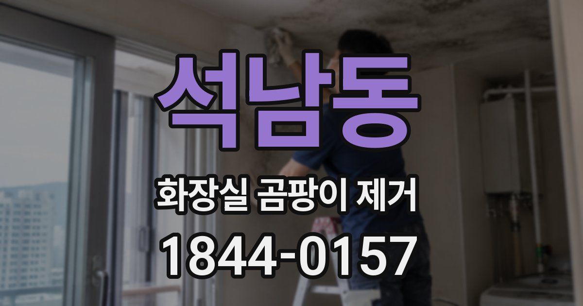 석남동 화장실 곰팡이 제거