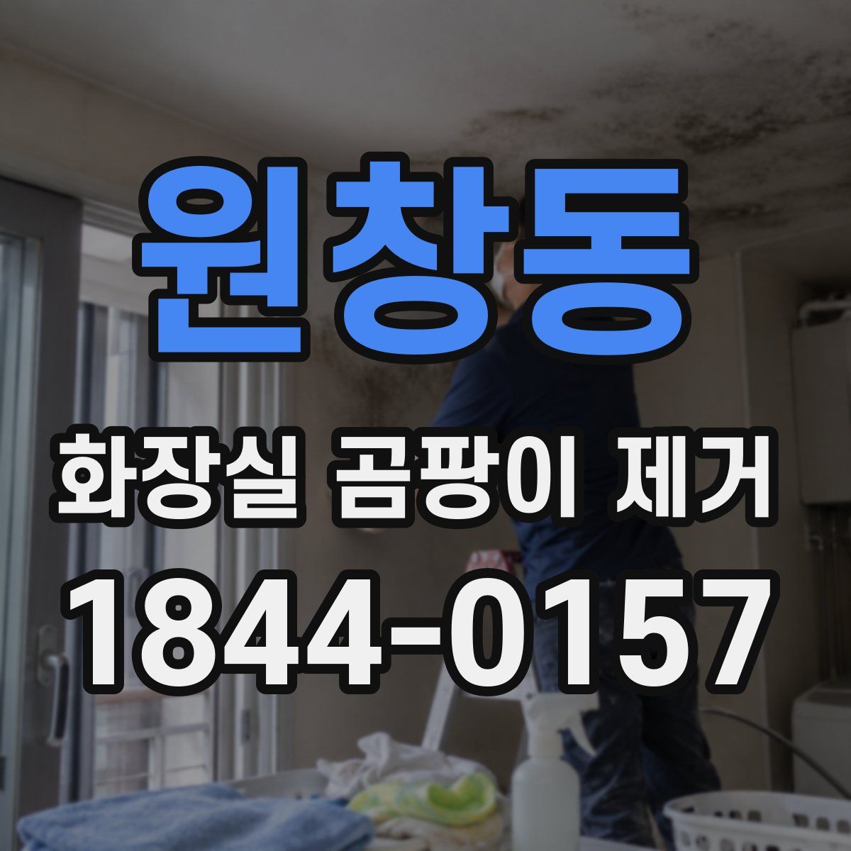 원창동 화장실 곰팡이 제거