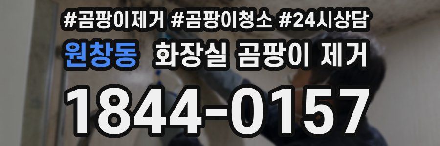 원창동 화장실 곰팡이 제거