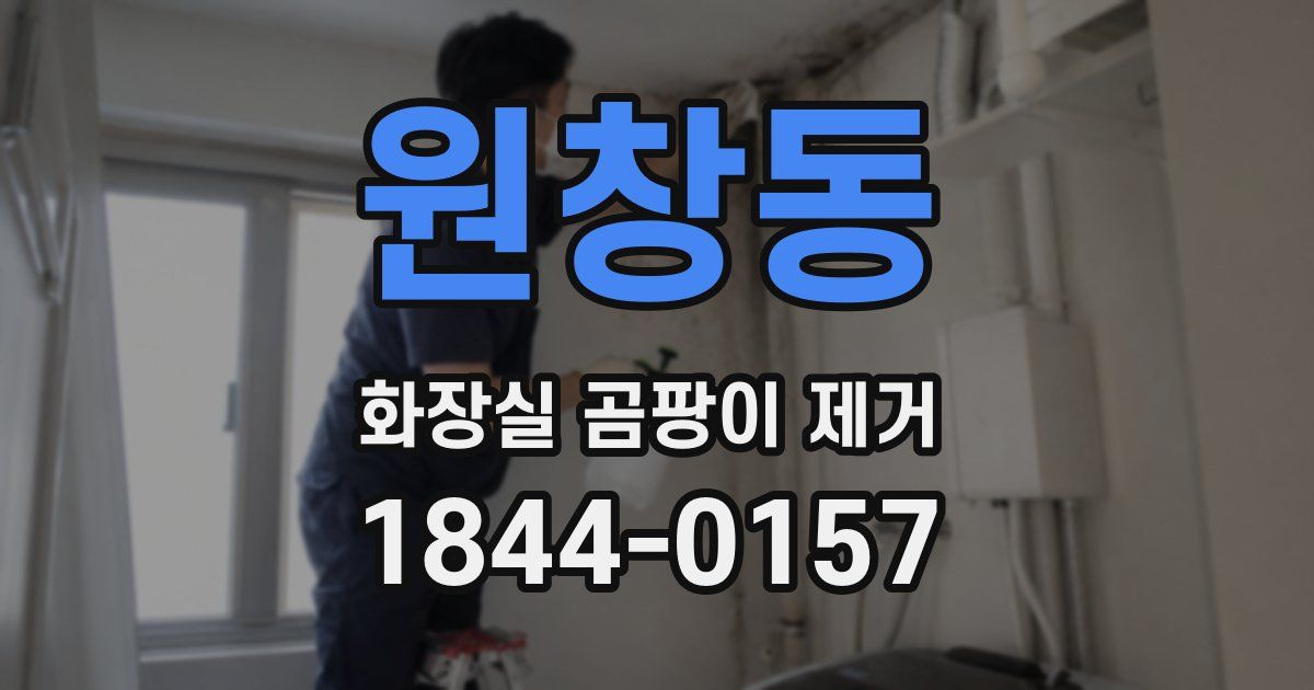 원창동 화장실 곰팡이 제거