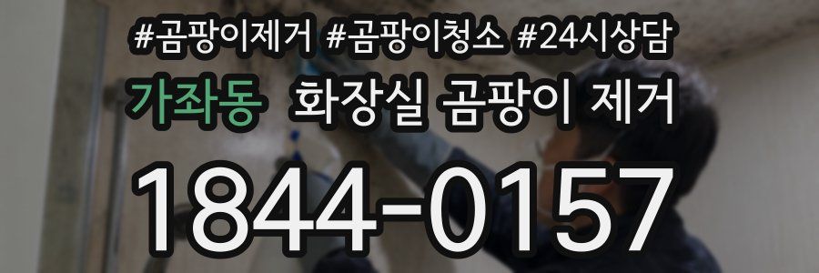 가좌동 화장실 곰팡이 제거