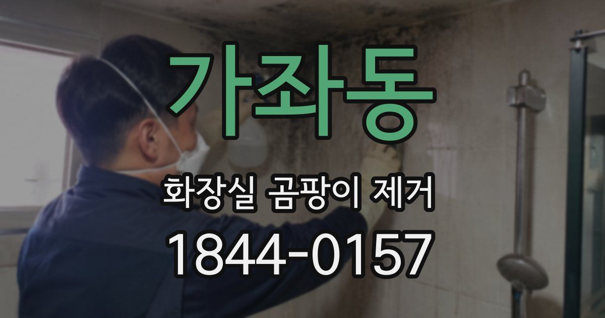 가좌동 화장실 곰팡이 제거