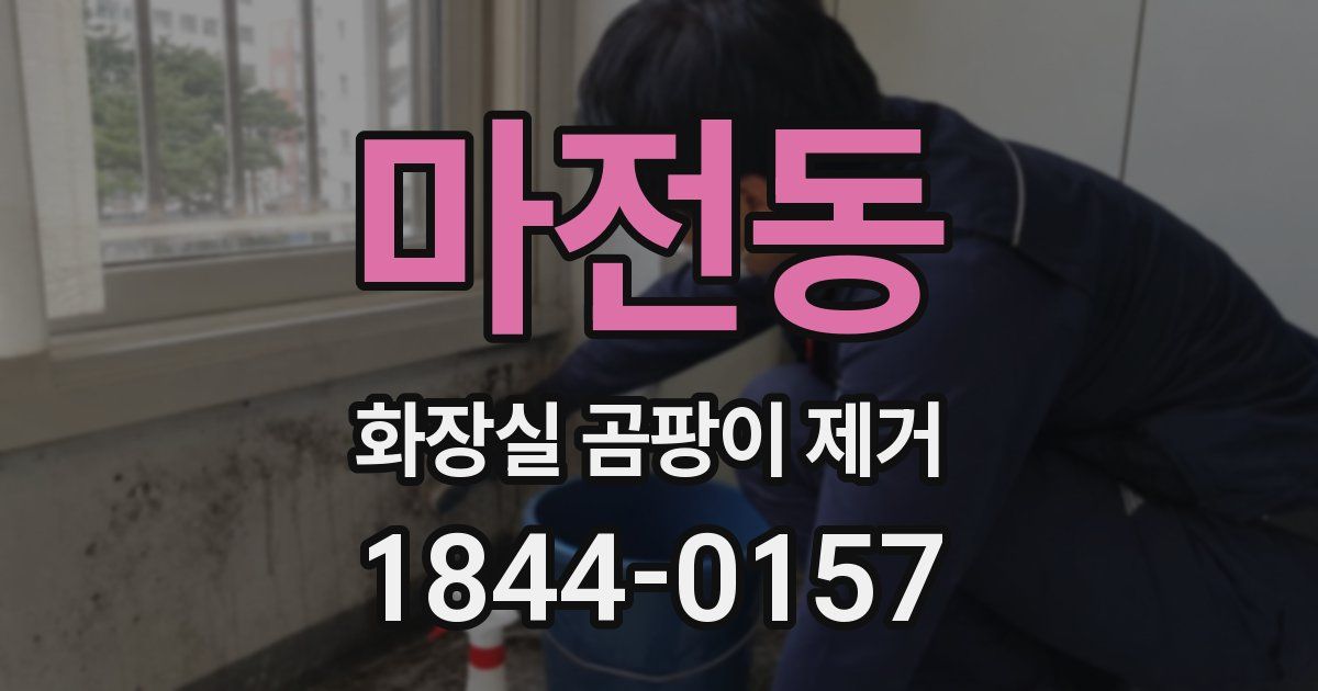 마전동 화장실 곰팡이 제거