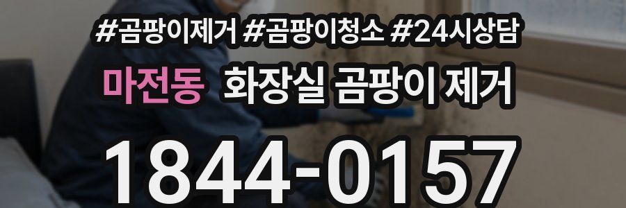 마전동 화장실 곰팡이 제거
