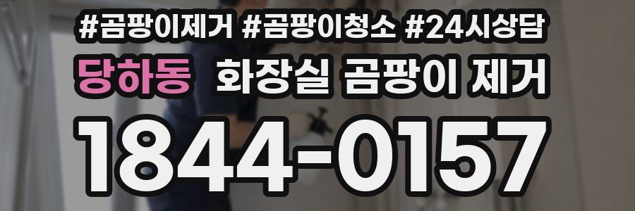 당하동 화장실 곰팡이 제거