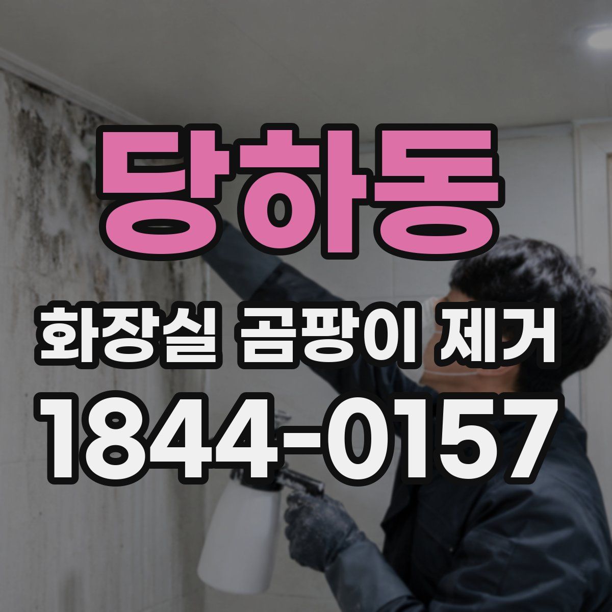당하동 화장실 곰팡이 제거