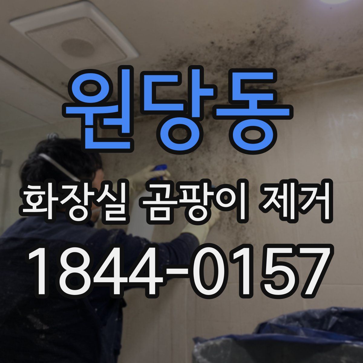 원당동 화장실 곰팡이 제거
