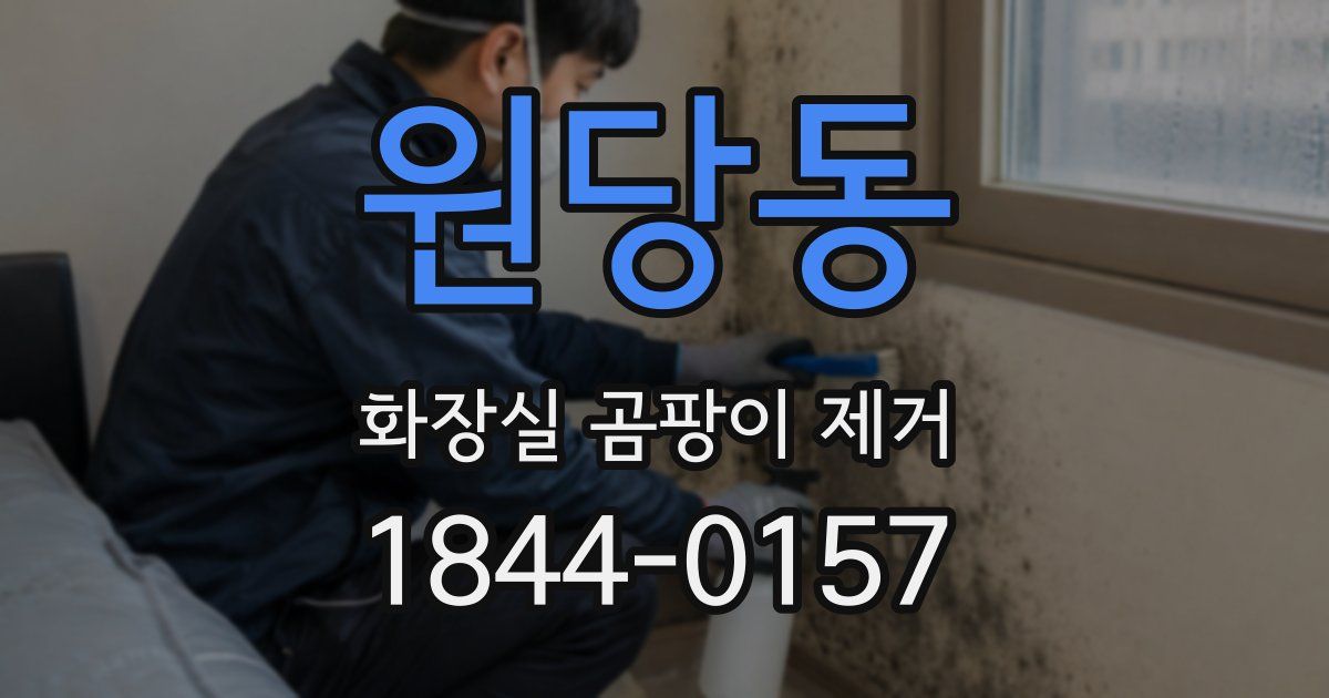 원당동 화장실 곰팡이 제거