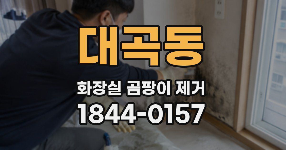 대곡동 화장실 곰팡이 제거