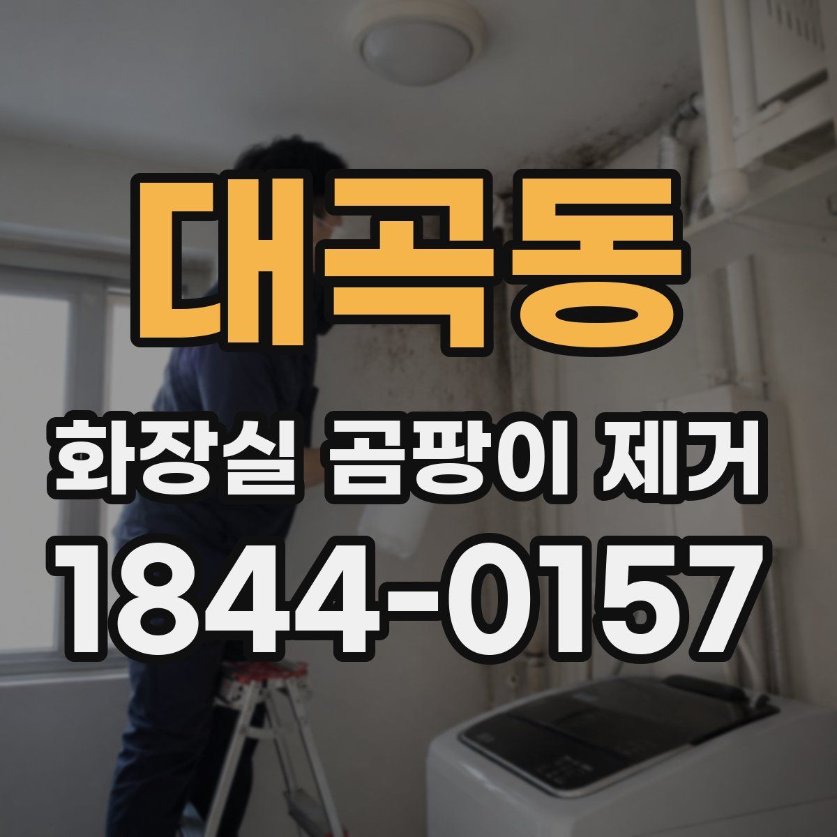 대곡동 화장실 곰팡이 제거