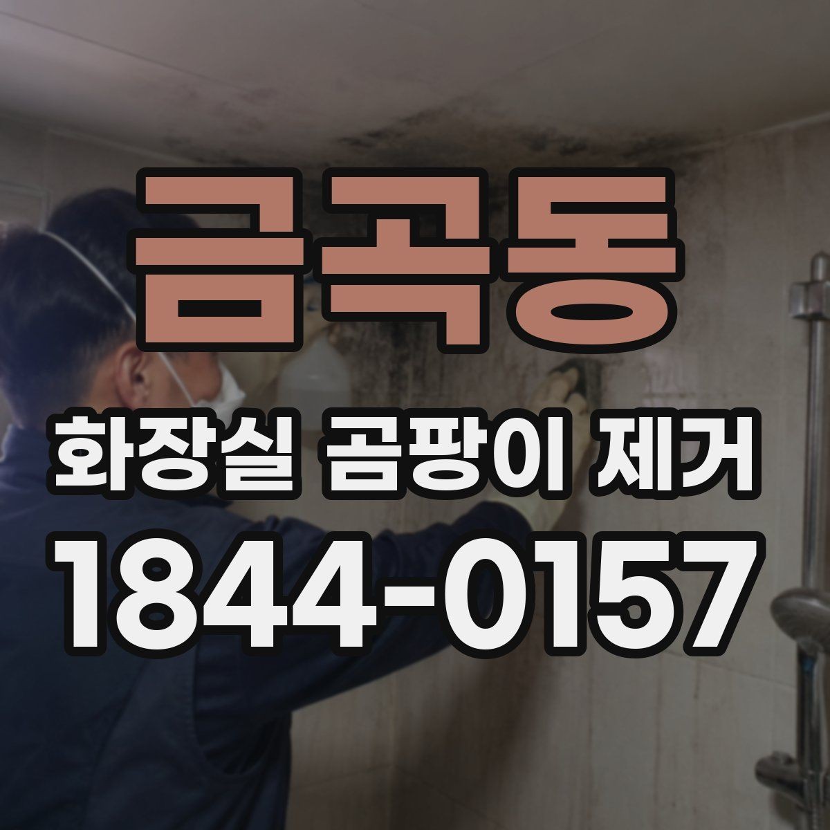 금곡동 화장실 곰팡이 제거 욕실 실리콘 교체 전 확인할 손상 범위