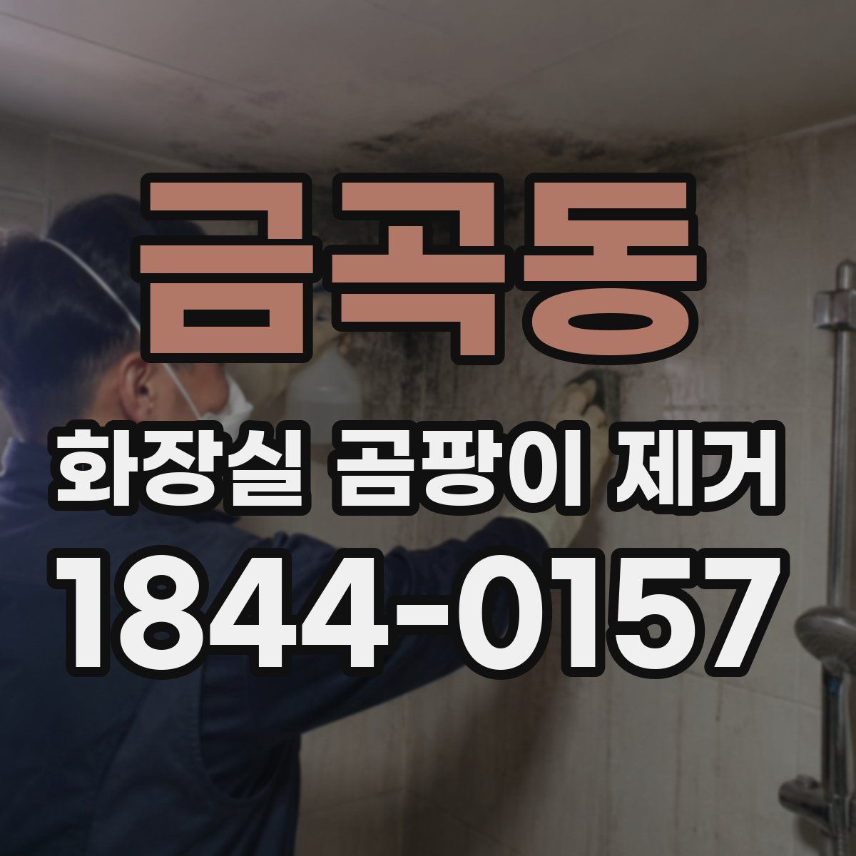 금곡동 화장실 곰팡이 제거