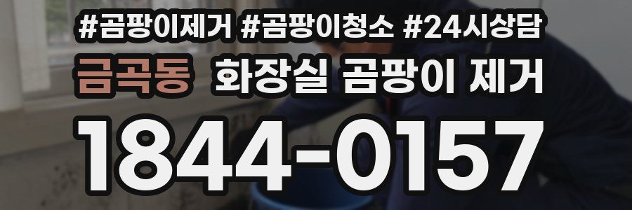 금곡동 화장실 곰팡이 제거