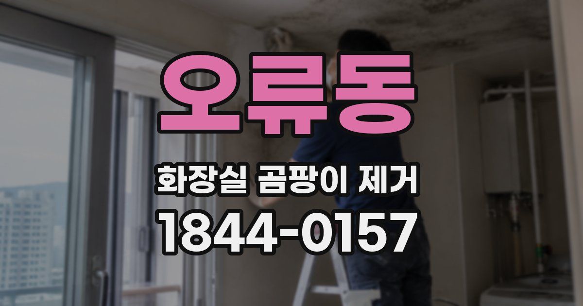 오류동 화장실 곰팡이 제거