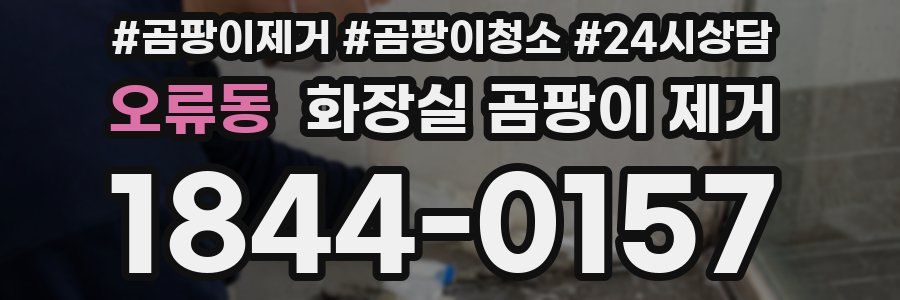 오류동 화장실 곰팡이 제거