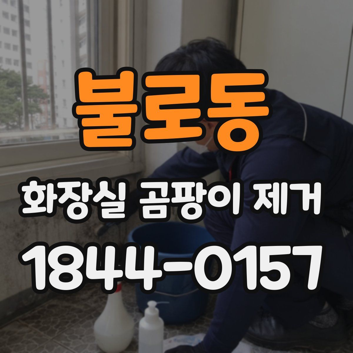 불로동 화장실 곰팡이 제거